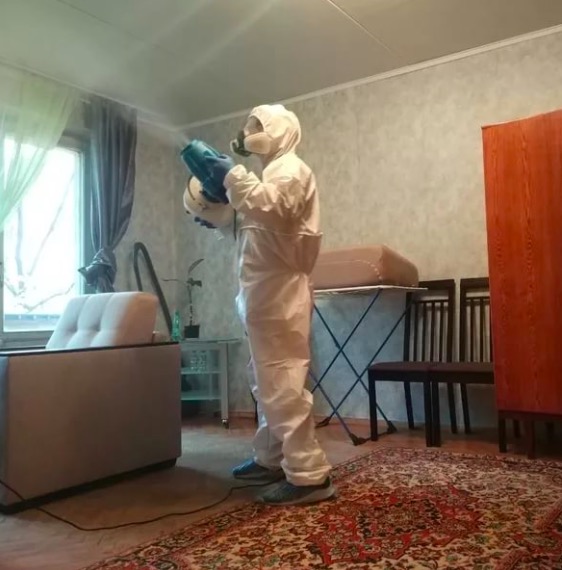дезинсекция квартиры Кочки